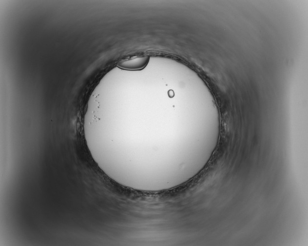 X0000093221495200710171350