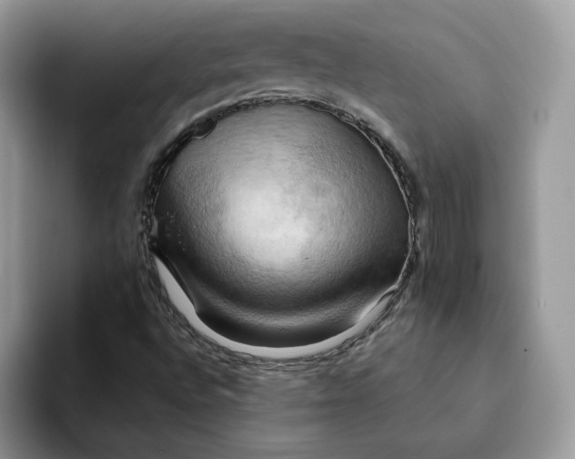 X0000093221496200710171350