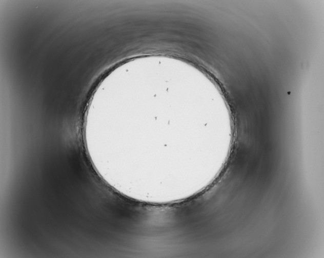 X0000093221498200710171350