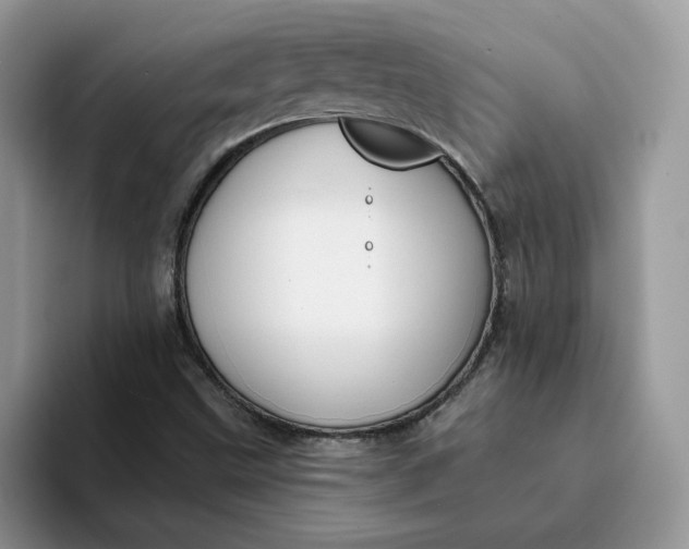 X0000093221499200710171350