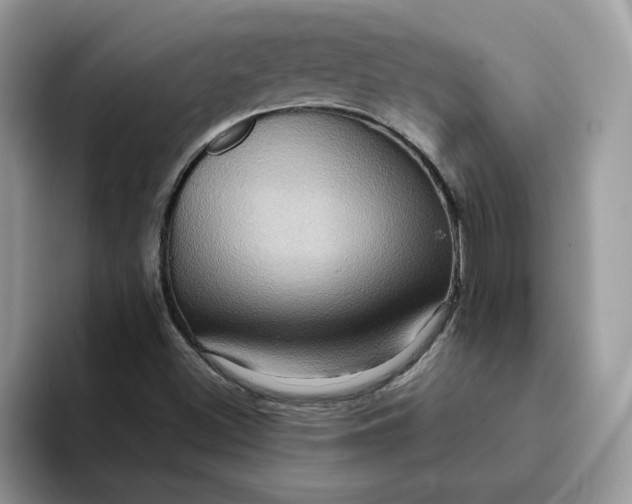 X0000093221500200710171350