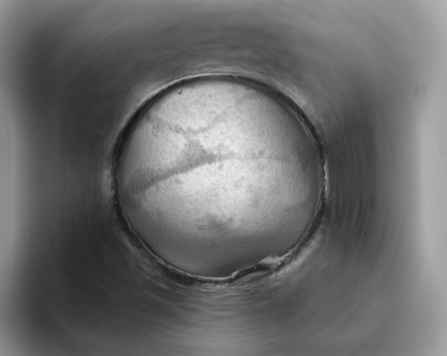 X0000093221501200710171350