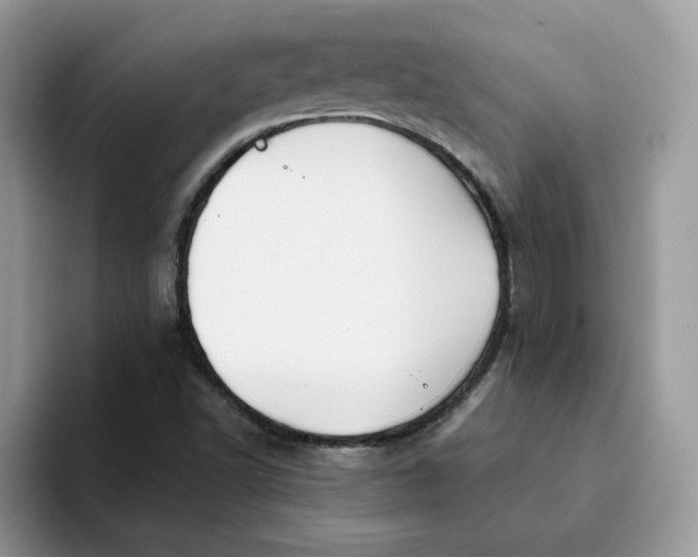 X0000093221502200710171350