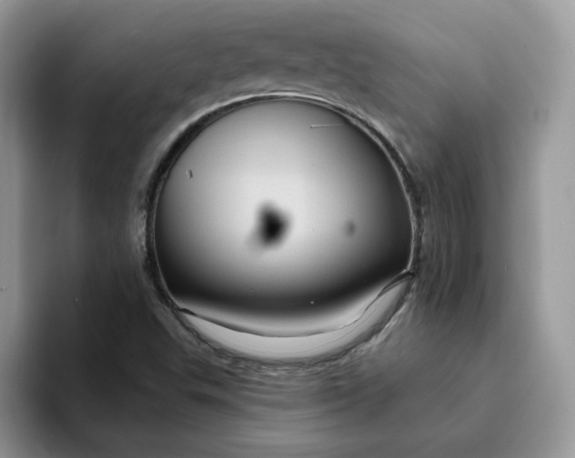 X0000093221503200710171350