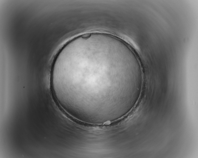 X0000093221504200710171350