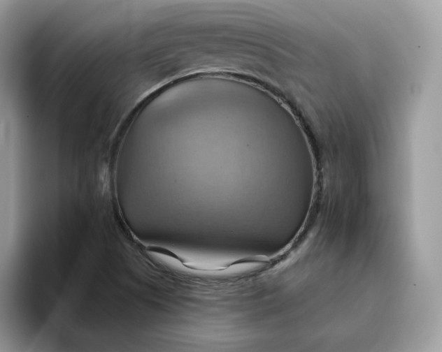 X0000093221505200710171350