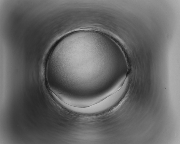 X0000093221506200710171350