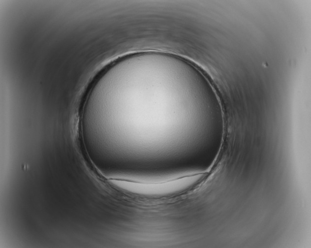 X0000093221507200710171350