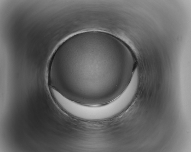 X0000093221508200710171350