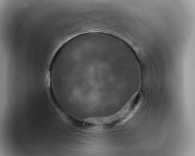 X0000093221509200710171350