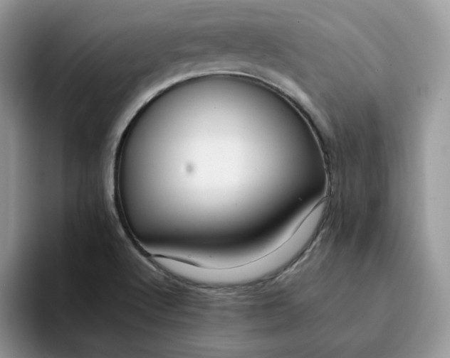 X0000093221512200710171350