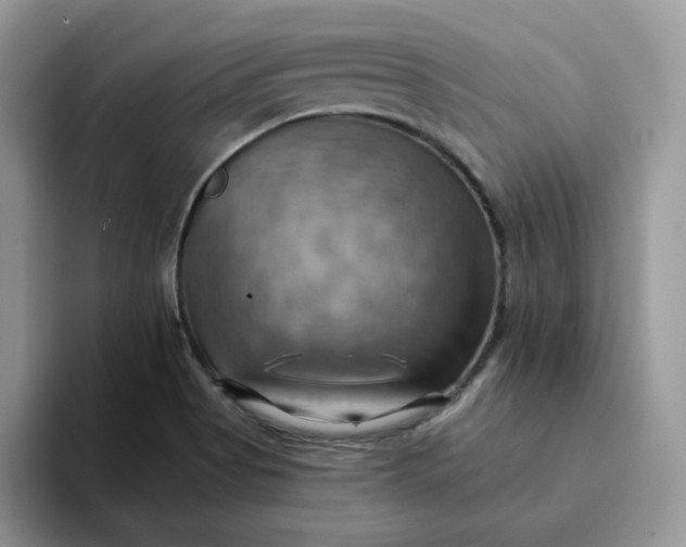 X0000093221513200710171350