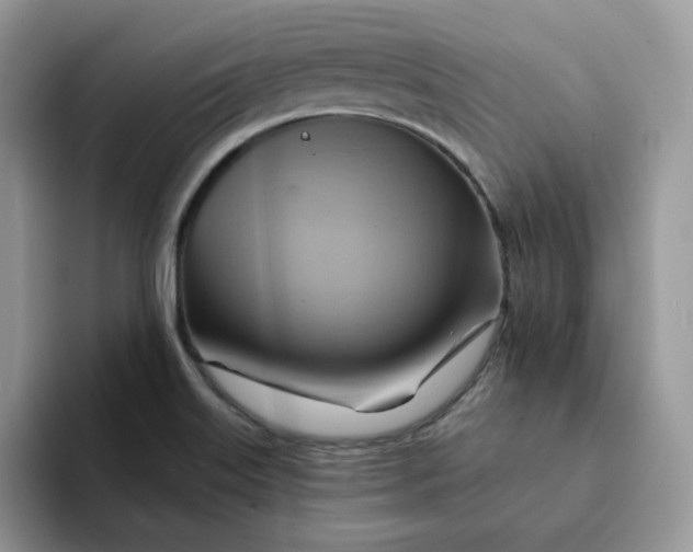 X0000093221515200710171350