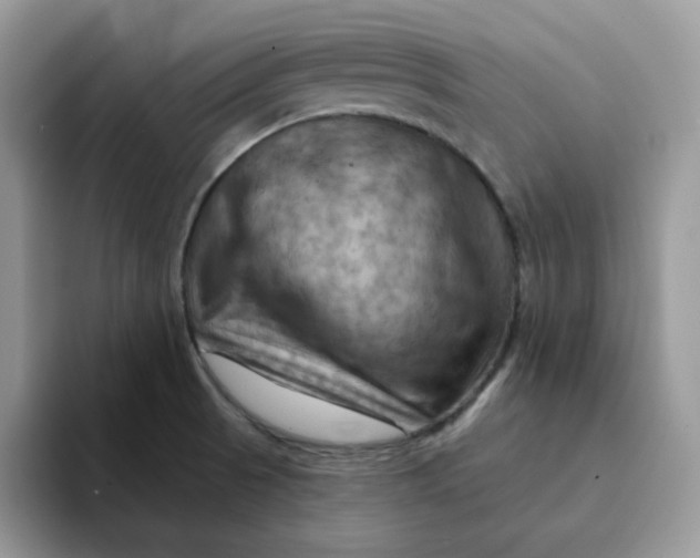 X0000093221521200710171350