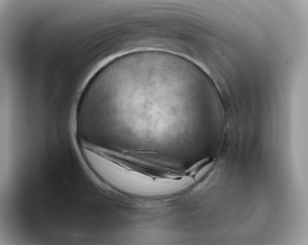 X0000093221523200710171350