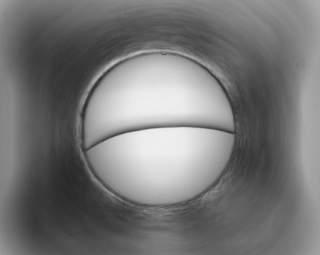 X0000093221527200710171350