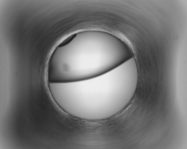 X0000093221528200710171350