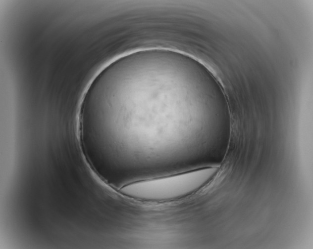 X0000093221535200710171350