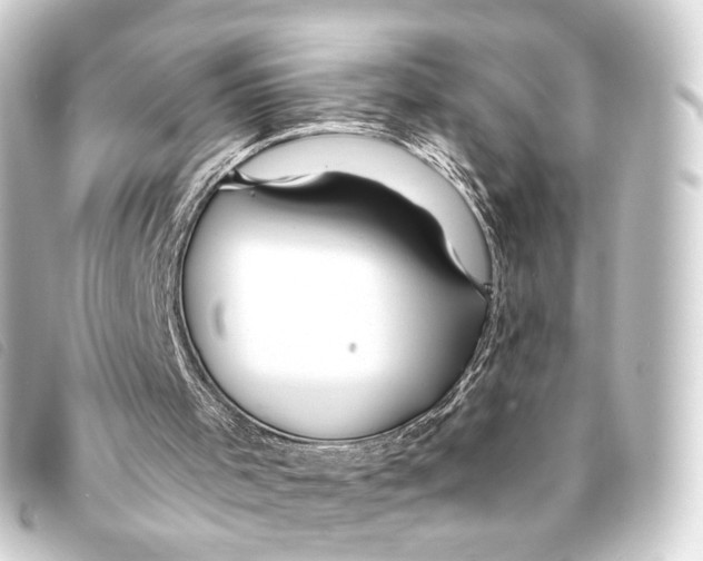 X0000093220001200710241225