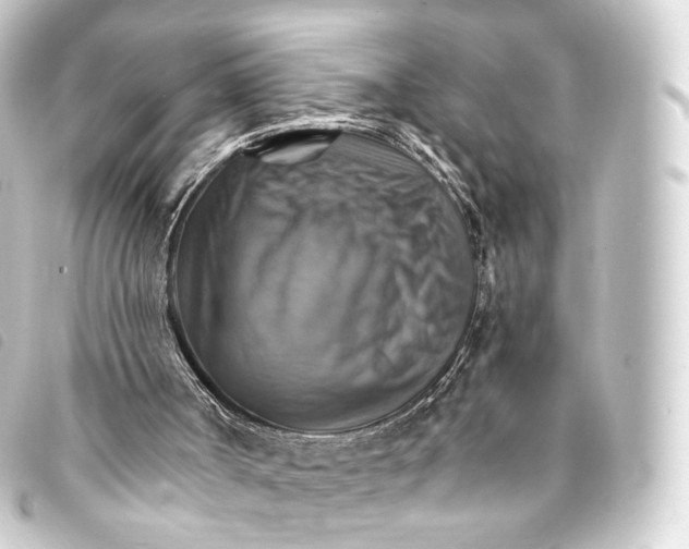 X0000093220002200710241225