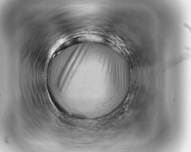 X0000093220003200710241225