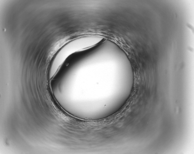 X0000093220005200710241225