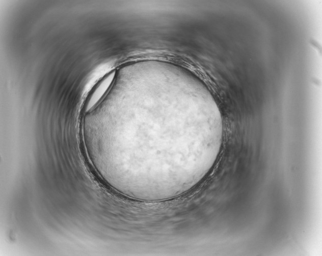 X0000093220006200710241225