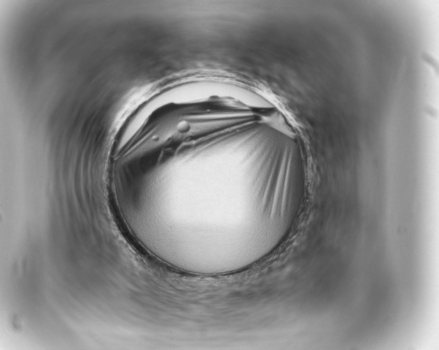 X0000093220007200710241225