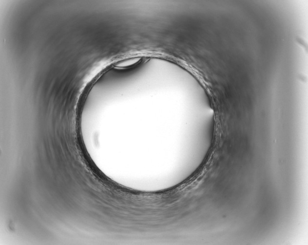 X0000093220008200710241225