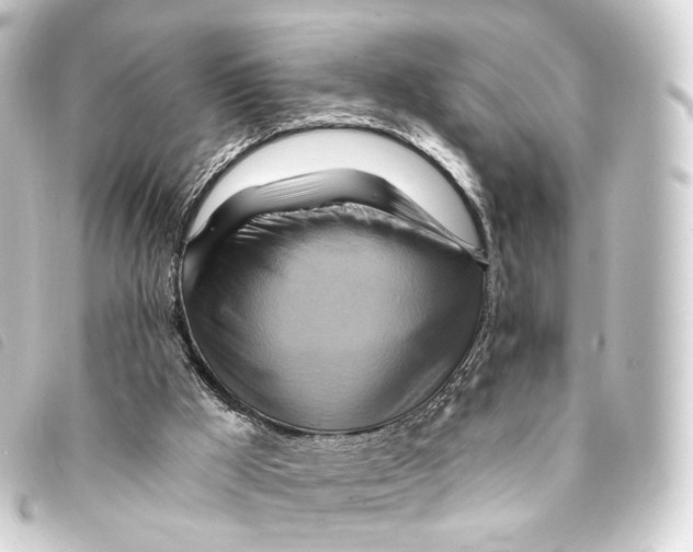 X0000093220009200710241225