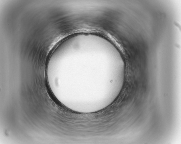 X0000093220011200710241225