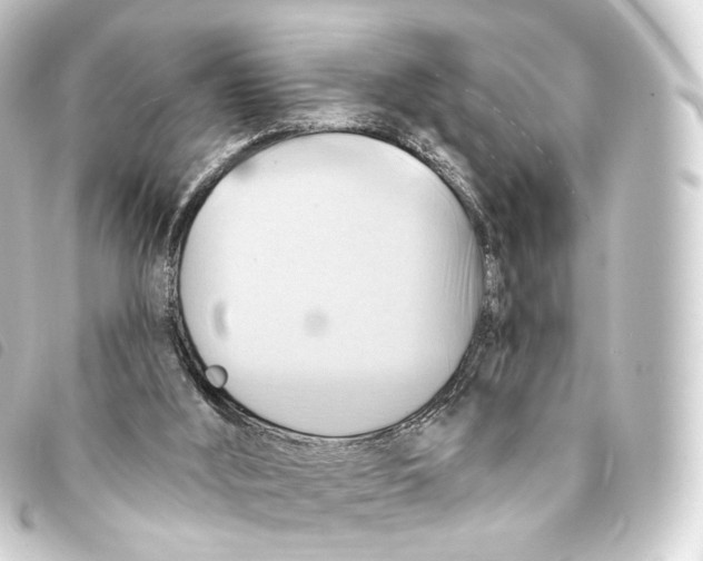 X0000093220012200710241225