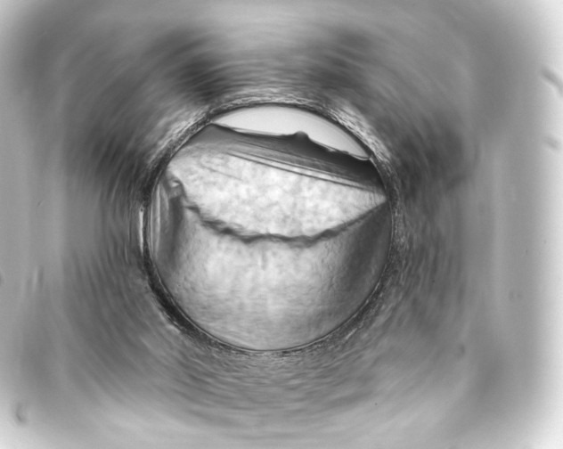 X0000093220014200710241225