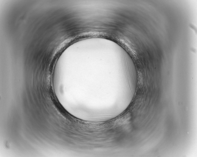 X0000093220016200710241225