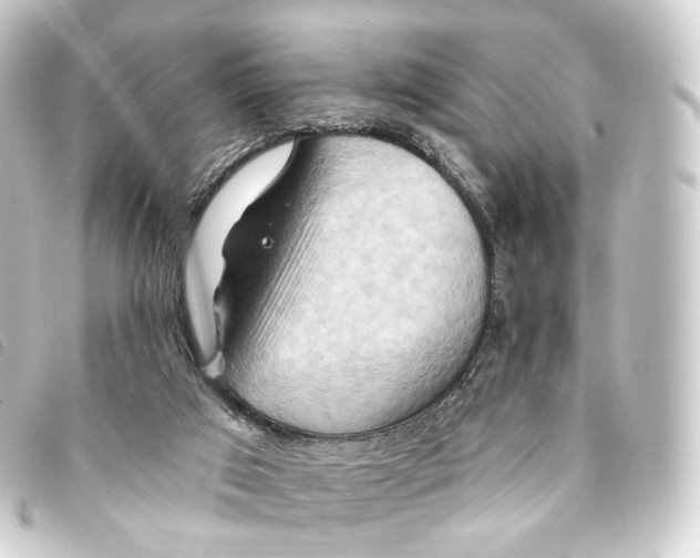 X0000093220017200710241225