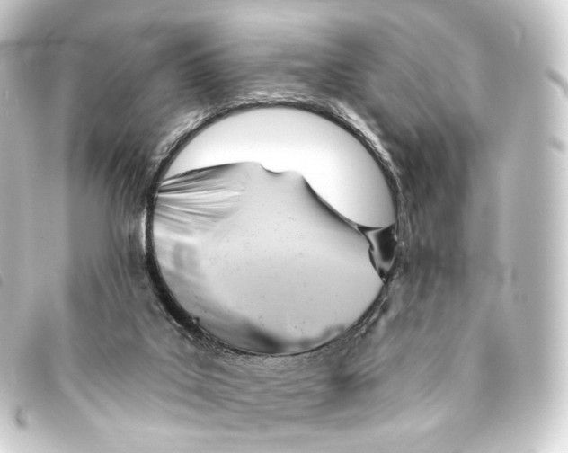 X0000093220019200710241225