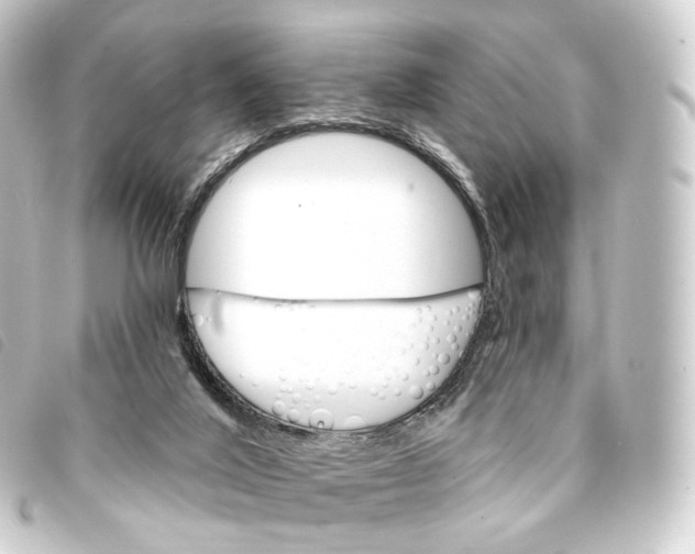 X0000093220020200710241225