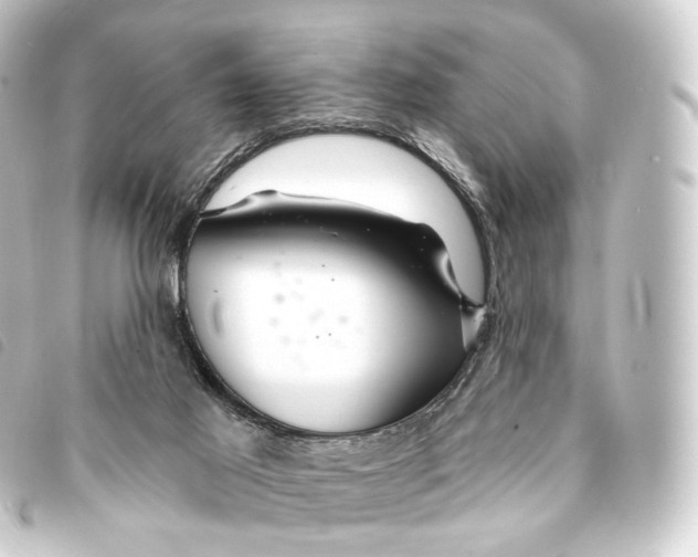 X0000093220021200710241225