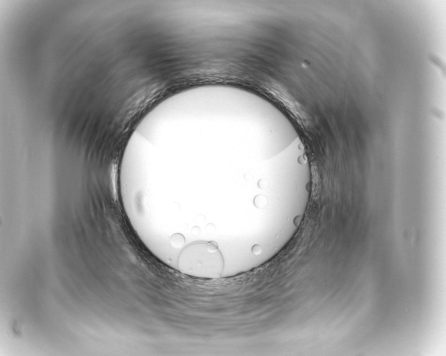 X0000093220022200710241225