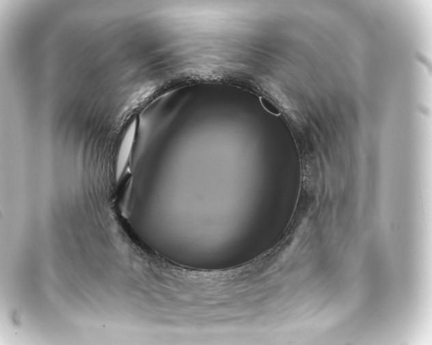 X0000093220023200710241225