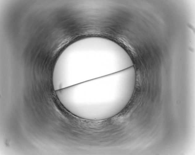 X0000093220024200710241225