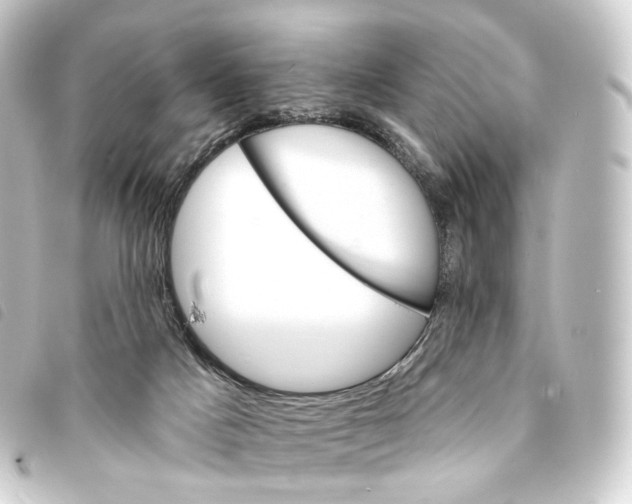 X0000093220025200710241225