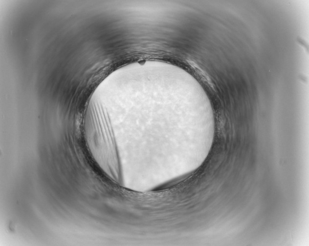 X0000093220026200710241225