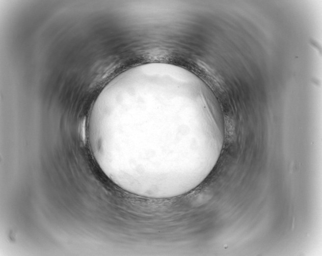 X0000093220028200710241225