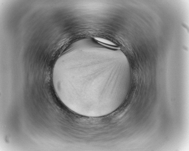 X0000093220032200710241225