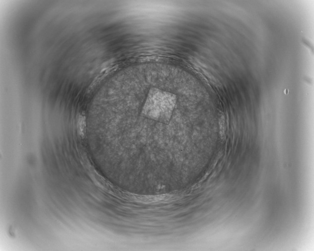 X0000093220038200710241225