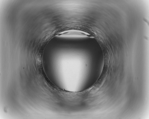 X0000093220040200710241225