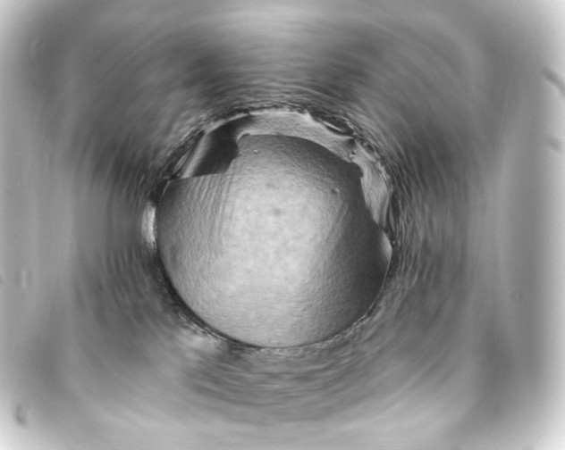 X0000093220041200710241225