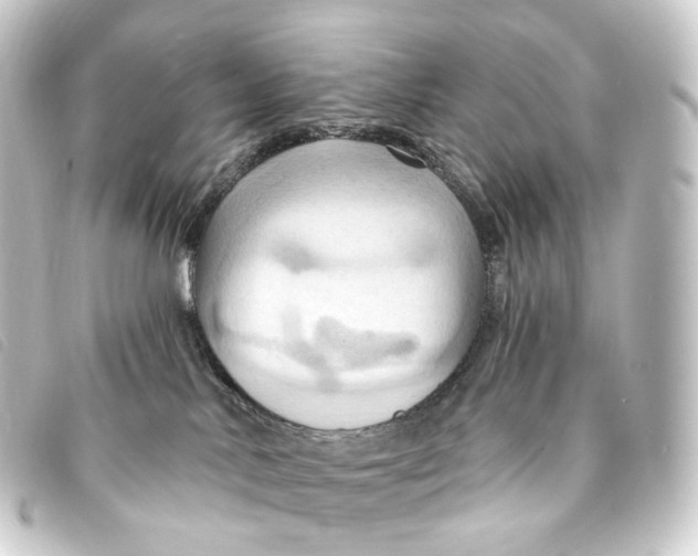 X0000093220042200710241225