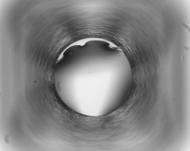 X0000093220044200710241225